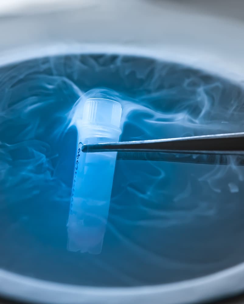 Facts about stem cells