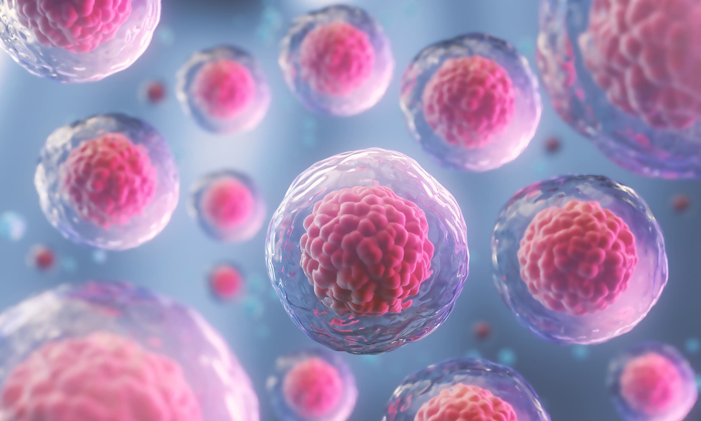 StemCell Intro
