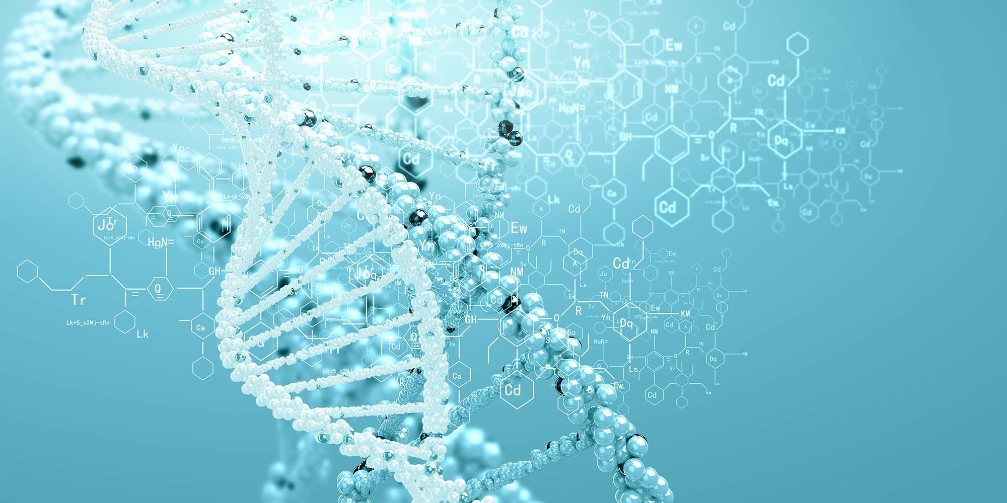 Facts about stem cells